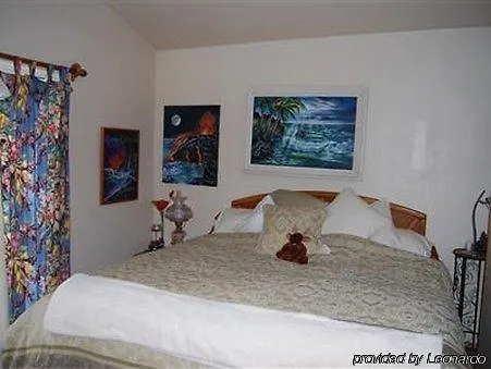 アパート The Artist Cottage In Ohia Estates ボルケーノ 米国