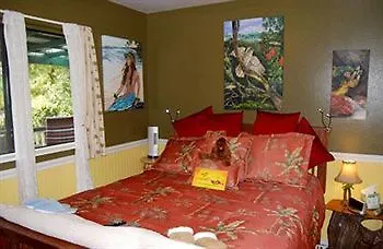 The Artist Cottage In Ohia Estates ボルケーノ